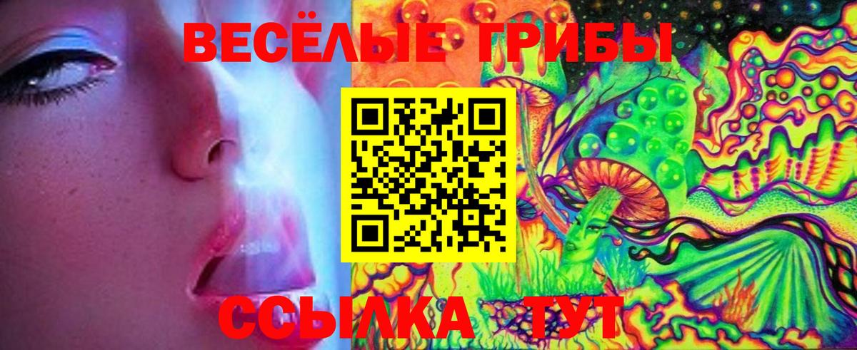 Кудымкар  Галлюциногенные грибы ЛСД  Вход с VPN 